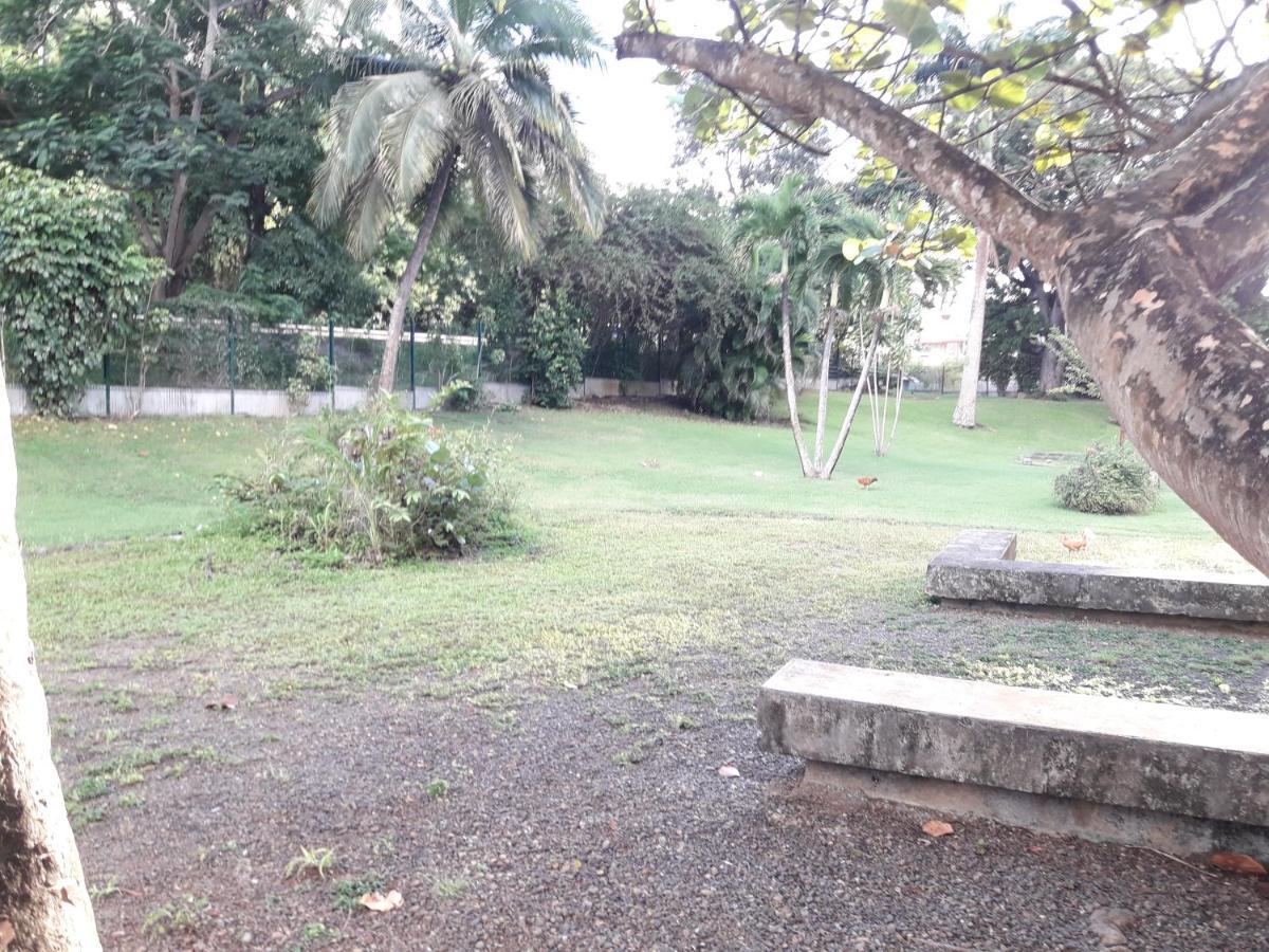 Appartement Centre Guadeloupe, Accessible Et Proche Лес Абимес Екстериор снимка